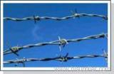 Barbed Wire