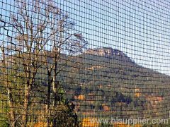 bird netting