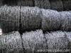 electric galvanized barbed wire