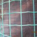 holland fence netting