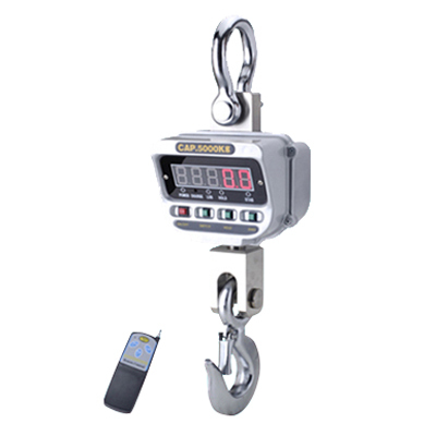 crane weighing scales