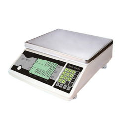 Stainless Steel Counting Scale