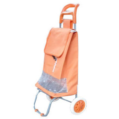 Shopping Trolley Bag and Carts