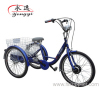 electric tricycle