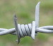 PVC coated barbed wire fence