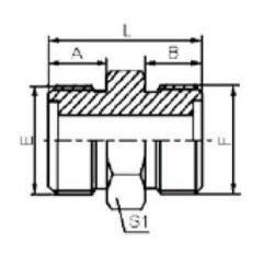 flange fittings