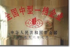 Qingdao Haida Graphite Co., Ltd.