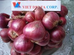 Viet Delta cooperation