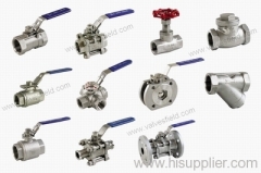 Stainless Steel Valve