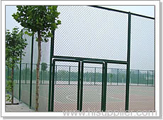 Wire mesh fences