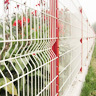 Wire mesh fences