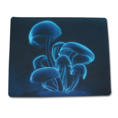 Promotional EVA Mouse Pad