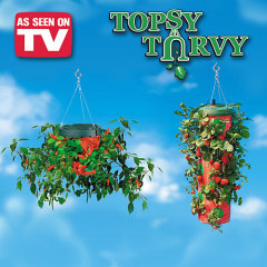 Topsy Turvy Strawberry Planter