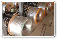 Galvanized Iron Wires