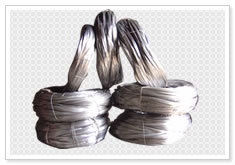 Galvanized Iron Wires