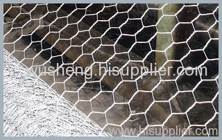 hexagonal wire mesh