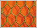 hexagonal Chicken Wire Mesh