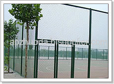 Wire Mesh Fence