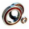 Angular Contact Ball Bearing