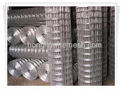 Electro Galvanized Welded Wire Mesh