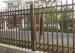 Wrought Iron Fence