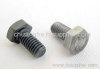 Hex bolt