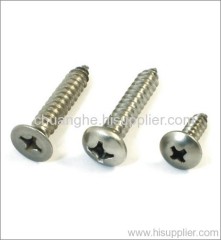 Drilling screw，screw