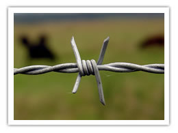 Barbed Wire