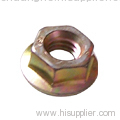 Hexagon flange Nuts