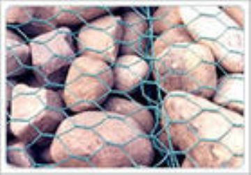 Gabion