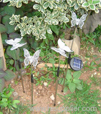 solar string light butterfly