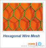 Hexagonal wire mesh