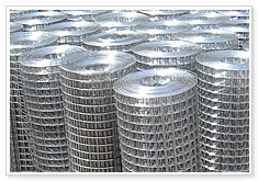 galvanized welded wire msh