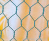 Hexagoanl Wire Mesh