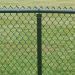 Galvanized Chain Link Fencing