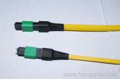 mpo patch cord