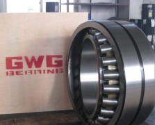 Wafangdian Guoli Bearing Manufacturing Co., Ltd.(GWG Bearing)