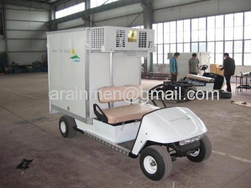 3000W electric golf cart