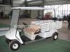 3000W Electric golf cart