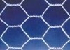 Hexagonal wire mesh