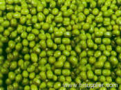 green mung bean