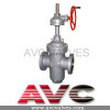 AVC Through Conduit Gate Valve