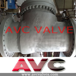 AVC Full Open API6D Cast Steel Check Valve
