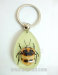 Real Insect Scorpion Amber Keychains