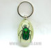 Real Insect Scorpion Amber Keychains