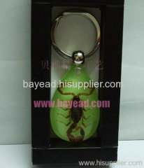 Real Insect Scorpion Amber Keychains