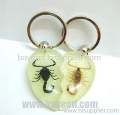 Valentine Pair insect amber Key Chains,novel gift,unique gift