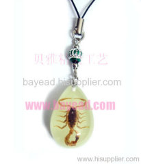 Insect Amber Cellphone chain