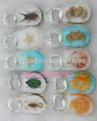 Real Starfish inside Bottle Opener For Pormotion Gift
