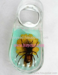 Real Starfish inside Bottle Opener For Pormotion Gift